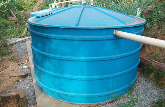 Fossa Valemix